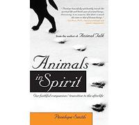Animals in Spirit: Our faithful companions' transition to the afterlife
