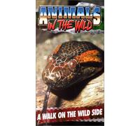 Animals in the Wild 2: Walk on the Wild Side