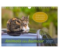 Animals like humour (Wall Calendar 2027 DIN A4 landscape), CALVENDO 12 Month Wall Calendar: Animals in beautiful pictures with funny sayings.