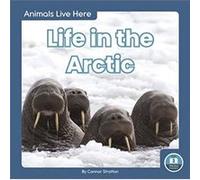 Animals Live Here Life in the Arctic by Connor Stratton Connor Stratton (Auteur)