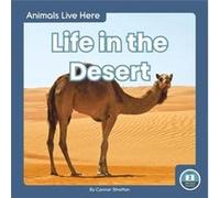 Animals Live Here Life in the Desert by Connor Stratton Connor Stratton (Auteur)