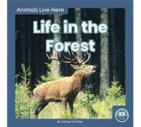 Animals Live Here Life in the Forest by Connor Stratton Connor Stratton (Auteur)