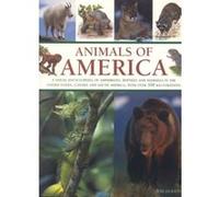 Animals Of America Michael Chinery, Tom Jackson (Auteur)