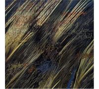 Animals on Wheels - Nuvo I Cadira