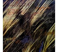 Animals on Wheels - Nuvol I Cadira [Import]