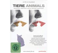 Animals - Stadt Land Tier (DVD) Birgit Minichmayr Philipp Hochmair Mona Petri