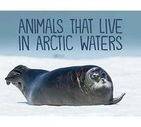 Animals That Live In Arctic Waters