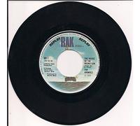 ANIMALS - The House Of The Rising Sun