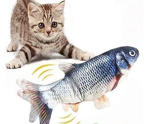 Animals VENTEO - Ventéo Magic Fish - Lot De 2 - Livraison Gratuite