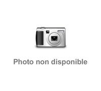 ANIMATION - Animation [Import]