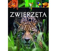 Animaux