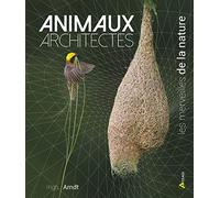 Animaux architectes, les merveilles de la nature