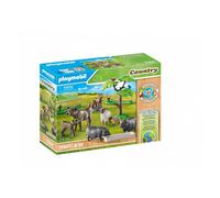 Playmobil® Country Animaux de la ferme 71307