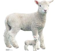 Animaux de la ferme - Agneau - Standy Mini - 74x72 cm