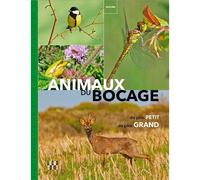 Animaux du bocage - Du plus petit au plus grand - Serge Kergoat - Locus Solus - broché - Dictionnaire et encyclopédie