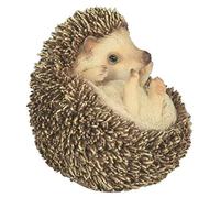 Animaux En Resine Sculpture Bébé Hérisson en Boule Multicolore 14,85 x 13,2 x 13,97 cm 200372