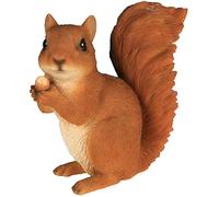 Animaux En Resine Sculpture Ecureuil avec Noisette Multicolore 14,3 x 7,15 x 14,85 cm 200486