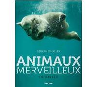 Animaux merveilleux en danger