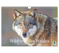 Animaux sauvages de la forêt : ici le mythe de la forêt vive (calendrier mural 2026 DIN A4 paysage) calendrier mensuel CALVENDO
