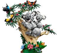 Animaux sauvages: la famille de koalas