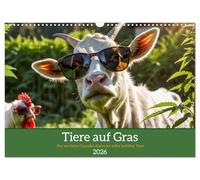 Animaux sur herbe - Le calendrier fou du cannabis plein d'animaux défoncés, Version française (Calendrier mural 2026 DIN A3 portrait), Calendrier CALVENDO mensuel