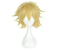 Anime Aotu monde Cosplay perruques dieu Rose Cosplay perruque résistant à la chaleur synthétique perruque cheveux Halloween carnaval fête jeu Cosplay perruques