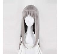 Anime Blend S Kanzaki Hideri droite longue perruque gris argenté résistant à la chaleur cheveux synthétiques Cosplay fête d'halloween + casquette de perruque gratuite seulement perruque