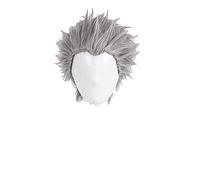 Anime Coser Vergil Cosplay Perruque courte Gris argenté Dos nu Résistant à la chaleur Perruque de cheveux synthétiques + bonnet de perruque