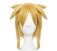 Anime Coser Wig La légende de Zelda: Souffle de la Liaison Sauvage Courte Perruque dorée Cosplay Cosplay Costume résistant à la Chaleur résistant aux Cheveux synthétiques Hommes Femmes Perruques