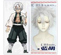 Anime démon Slayer: Kimetsu No Yaiba Cosplay Shinazugawa Sanemi court gris argent cheveux Halloween Concert jeu de rôle perruque de style