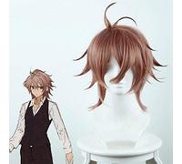Anime destin apocrypha Cosplay perruques Sieg Homunculus Cosplay résistant à la chaleur synthétique perruque cheveux Halloween carnaval fête jeu perruque