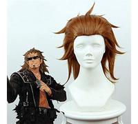 Anime destin apocrypha Sisigou Kairi Cosplay perruque marron court cheveux synthétiques 40 cm Halloween fête Costume perruques pour hommes 235J