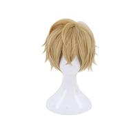 Anime destin Grand ordre Gawain perruque courte Costume de Cosplay destin supplémentaire résistant à la chaleur cheveux synthétiques hommes Cosplay perruques