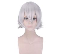 Anime destin Grand ordre Lang Lin Wang argent gris perruque courte Cosplay Costume résistant à la chaleur cheveux synthétiques hommes Cosplay perruques