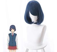 Anime domestique petite amie Cosplay perruques Rui Tachibana Cosplay perruque synthétique perruque Halloween carnaval fête domestique na Kanojo perruques