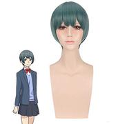 Anime embrasse-le pas moi Nishina Shima femmes perruque courte Cosplay Costume Watashi ga Motete Dosunda perruques de cheveux synthétiques Perucas