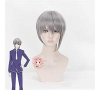 Anime Fruits panier Soma Souma Yuki gris perruque courte Cosplay Costume Furutsu Basuketto résistant à la chaleur cheveux synthétiques hommes perruques MZ-1393