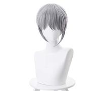 Anime Fruits panier Soma Souma Yuki gris perruque courte Cosplay Costume résistant à la chaleur synthétique cheveux hommes fête Cosplay perruques