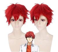 Anime Gekkan Shoujo Nozaki-kun Cosplay perruque rouge court moelleux cheveux synthétiques Mikoshiba Mikoto Halloween Costume perruques pour hommes