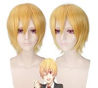 Anime gratuit Iwatobi Swim Club cosplay costume perruque Costume de fête cheveux Haruka Nanase Hazuki Nagisa Rin Matsuoka Cosplay perruques taille unique Hazuki Nagisa PL-218