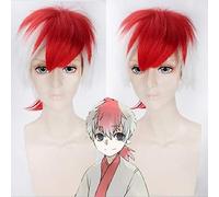 Anime Hoozuki no Reitetsu cosplay perruque pour hommes parti court 30cm blanc mixte rouge cheveux synthétiques Cosplay Costume perruques + bonnet de perruque Hoozuki no Reitetsu perruque PL-326