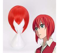 Anime L'Ancien Magus Mariée Cosplay Perruques Chise Hatori Cosplay Perruque De Cheveux Résistant À La Chaleur Synthétique Perruque Halloween Fête Perruques
