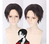 Anime l'avatar du roi Yu Wenzhou perruque brun cheveux courts Cosplay perruque hommes résistant à la chaleur synthétique cheveux perruques PL-216L