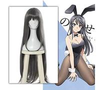 Anime Rascal ne rêve pas de lapin fille Senpai Cosplay perruques Sakurajima Mai Cosplay perruque résistant à la chaleur synthétique perruque cheveux fête