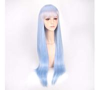 Anime Re: zéro commencer la vie dans un autre monde perruque de cosplay gris argent longue perruque droite cheveux Emilia tressé cosplay costume perruques une taille perruque bleue