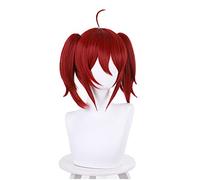 Anime Shikkakumon no Saikyou Kenja Elise Perruque Cosplay La sauge la plus forte avec l'écusson le plus faible Rouge foncé + bonnet de perruque pour filles
