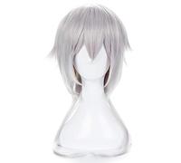 Anime Touken Ranbu en ligne Tsurumaru Kuninaga Cosplay perruques argent cheveux synthétiques droits hommes et femmes Anime Costume perruque Perucas KUJ4501