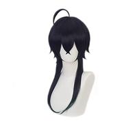 Anime Twisted Wonderland Malleus Dracqma Perruque de cosplay + bonnet de perruque résistant à la chaleur Cheveux synthétiques pour homme et femme Accessoires de fête