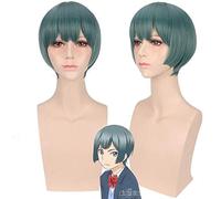 Anime Watashi ga Motete Dousunda Shima Nishina perruque cosplay cheveux synthétiques l'embrasser pas moi Cosplay perruques vertes + bonnet de perruque taille unique PL-710 perruque