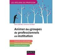Animer Des Groupes De Professionnels En Institution